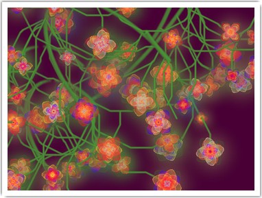Fleurs - image retouchée