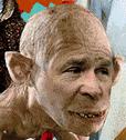 Bush en Gollum