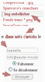 Ce que les utilisateurs d'IE ne voient pas