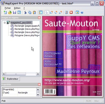 L'interface de Map Expert Pro et les zones dessinées sur l'image à mapper L'interface de Map Expert Pro et les zones dessinées sur l'image à mapper