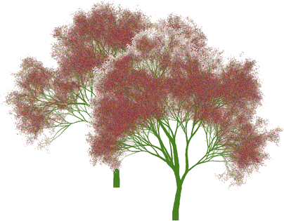 Arbres, par Isa