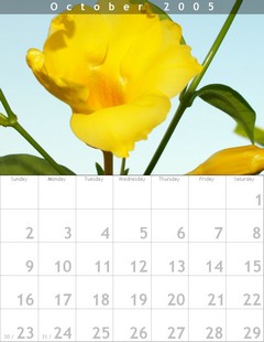 Cliquez pour voir le calendrier en taille relle