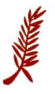 Palme du nimportequoi