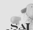 Les news de Saute-Mouton