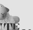 Qu'y a-t-il dans les cartons de Saute-Mouton ?