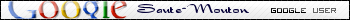 Utilisatrice de Google [userbar]
